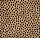 Stanton Carpet: Dottie Bronze